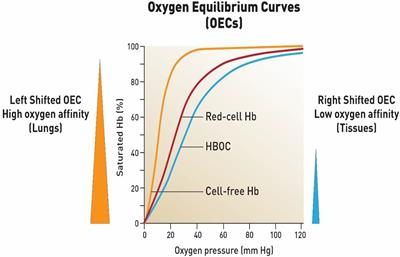 The Impact of COVID-19 Infection on Oxygen Homeostasis: A Molecular Perspective